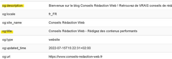 Extension Web Developer : affichage des balises meta