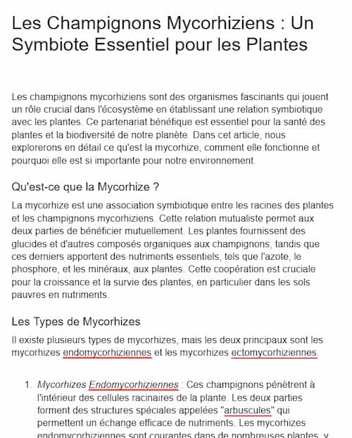 Test : les 6 meilleurs chatbots ChatGPT pour la rédaction 12 Test GPT Humanizer Pro - img 2
