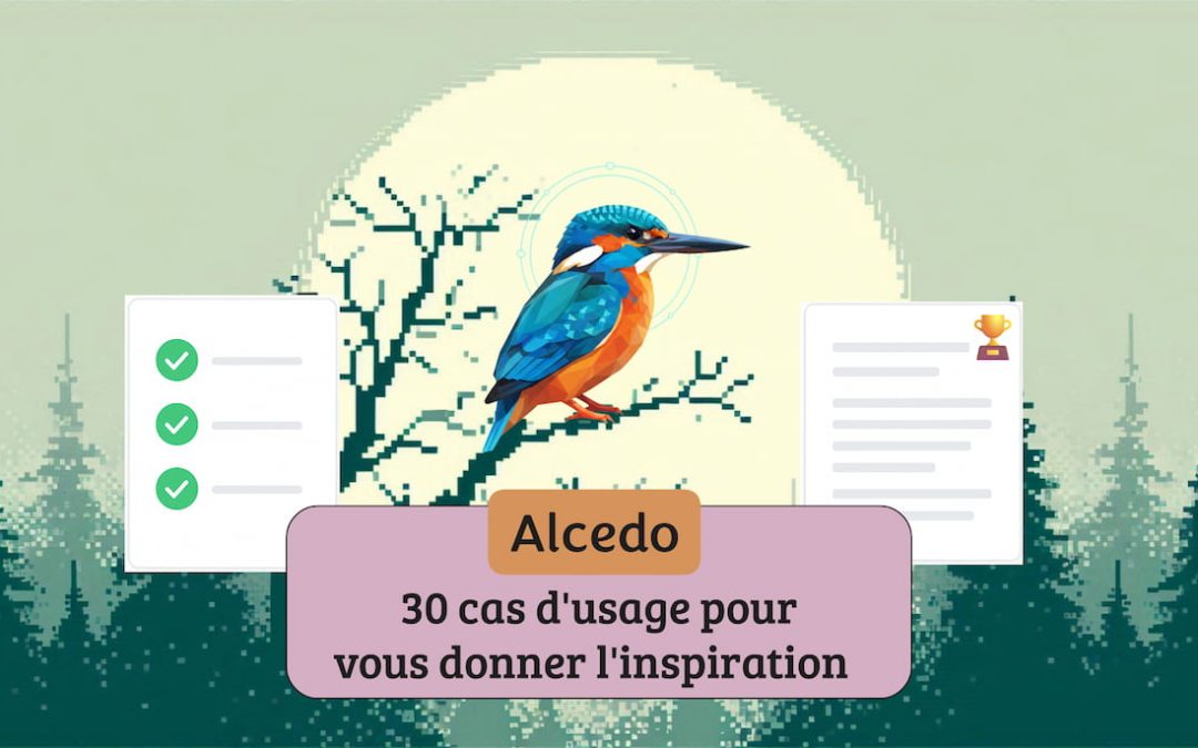 Alcedo : quels textes peut-on rédiger avec cette IA ? [30+ use cases]