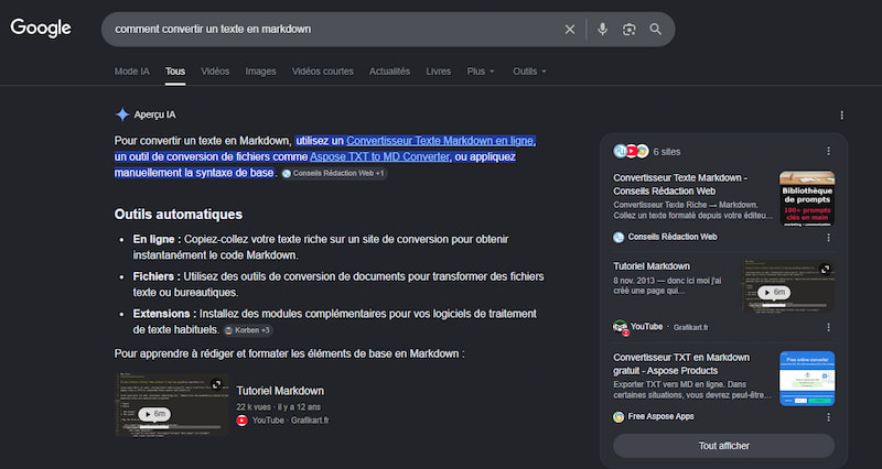 apercus-ia-markdown-avec-comment-apercu-et-citation